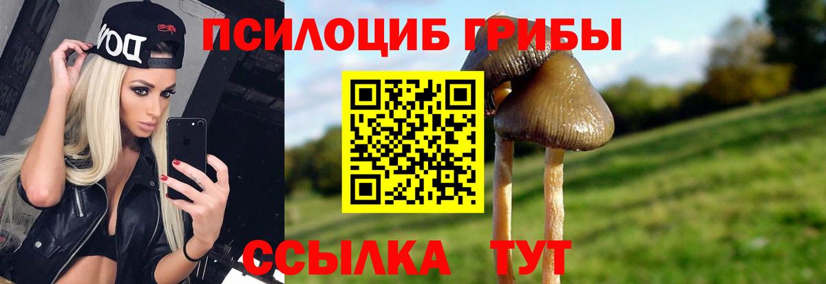 Галлюциногенные грибы ЛСД Владимир