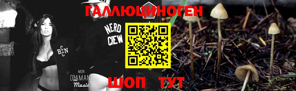 Владимир  наркота  Вход с VPN  Галлюциногенные грибы Magic Shrooms  Галлюциногенные грибы Magic Shrooms 