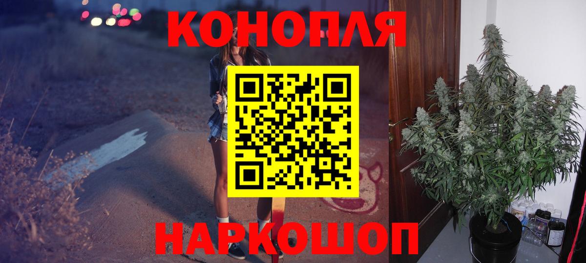 Владимир  Конопля SATIVA & INDICA  Вход с VPN  Конопля VHQ  Бошки марихуана сатива 